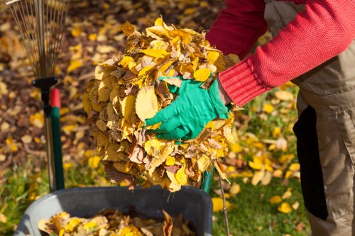 Residential waste removal services in Bromley